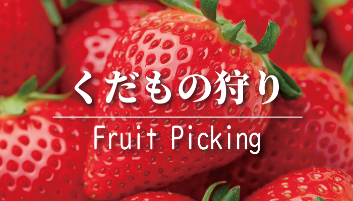信州・小諸くだもの狩り（いちご）