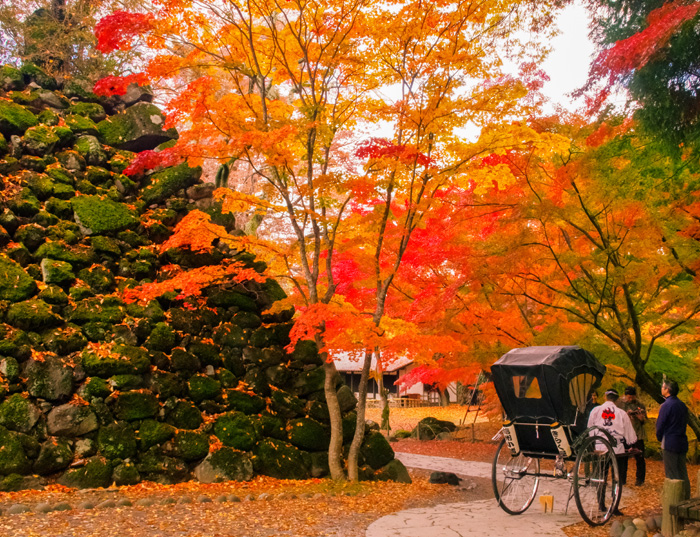 小諸城址・懐古園 紅葉まつり