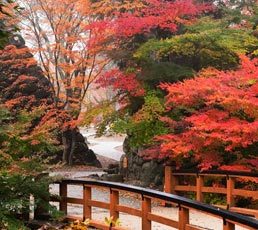 黒門橋と紅葉谷 イメージ