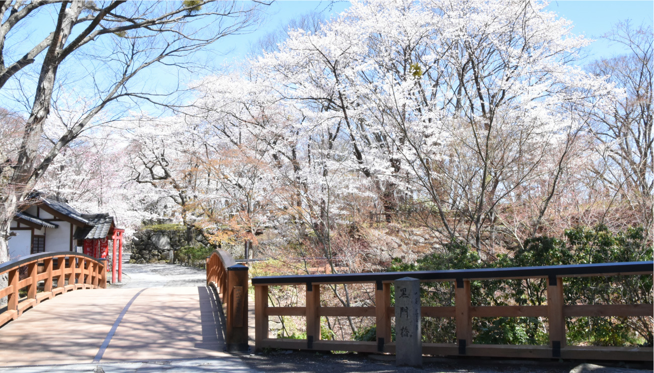 黒門橋と紅葉谷 イメージ