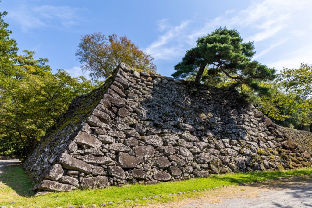 苔むす小諸城址懐古園