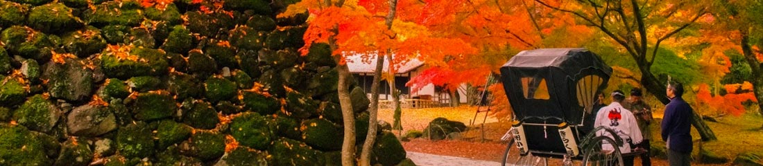 紅葉まつり イメージ