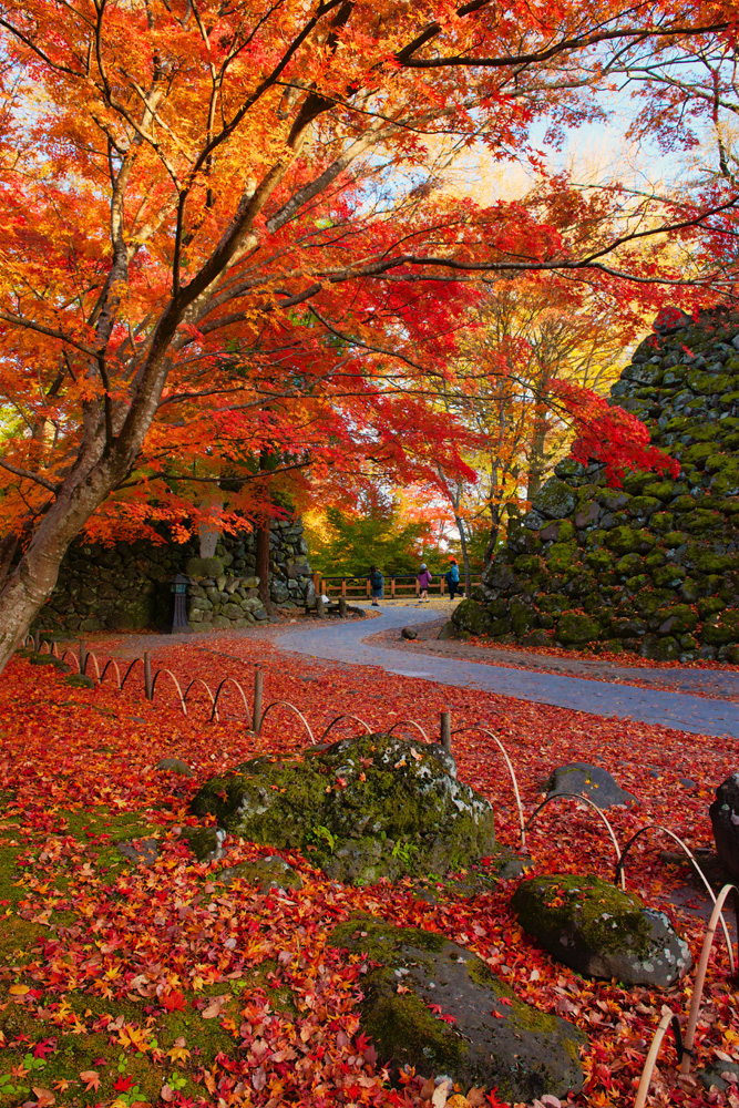 紅葉まつり こもろ観光局 紅葉まつり こもろ観光局