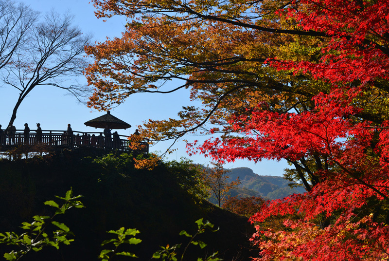 2017大根原孝「秋・絶景」入選