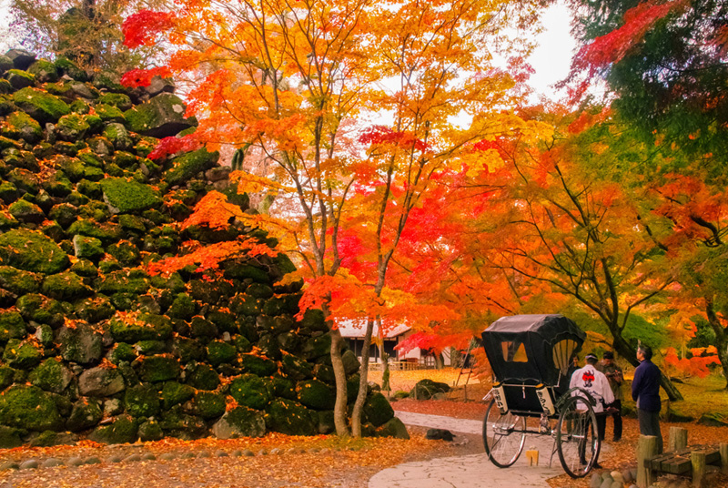 2018フォトコン-優秀賞「紅葉談義」