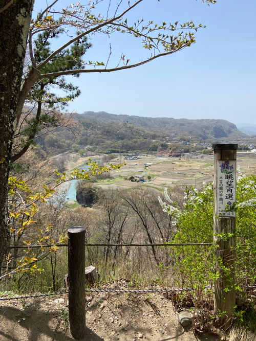 木立の間の千曲川