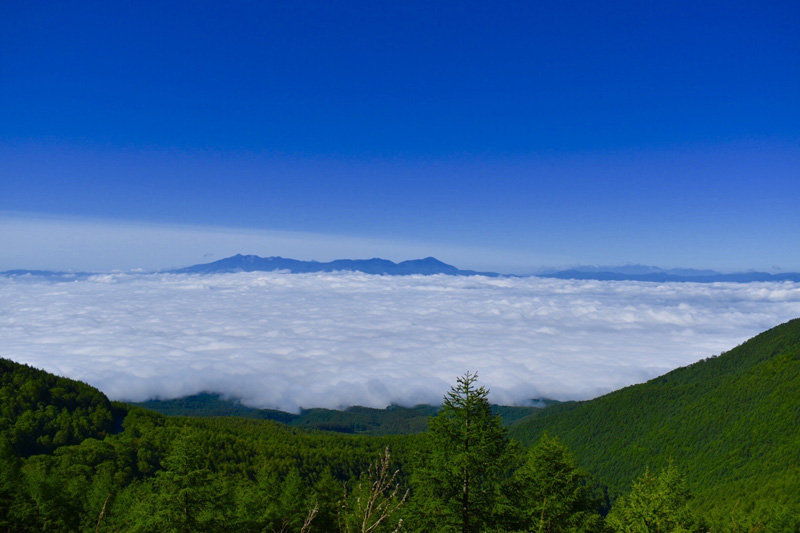 雲海