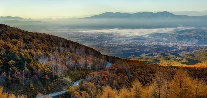 晩秋の澄んだ青空に映える、「黄金のカラマツ林」の絶景