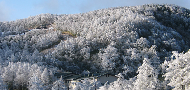 凛と張り詰めた空気の中、ひととき幻想的に輝く「霧氷」