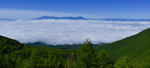 上信越高原国立公園 高峰高原 イメージ