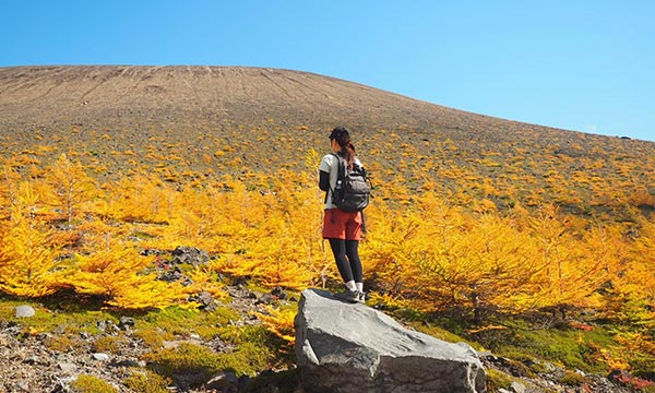 火山館コース イメージ