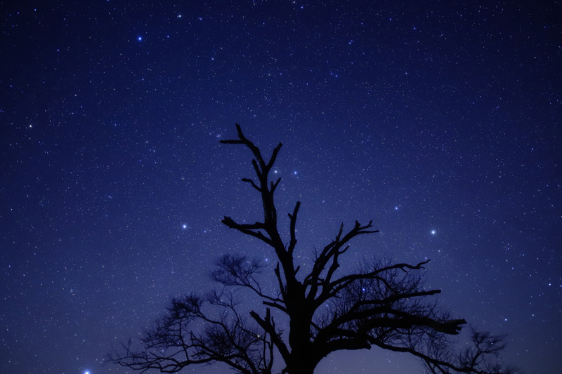 夜空の星