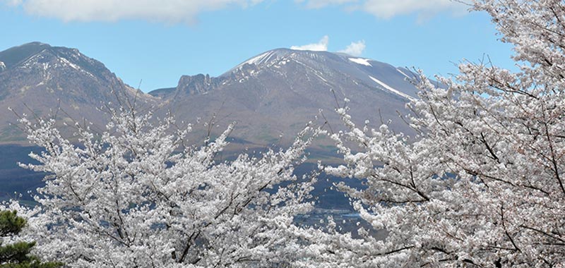 春の浅間山 イメージ