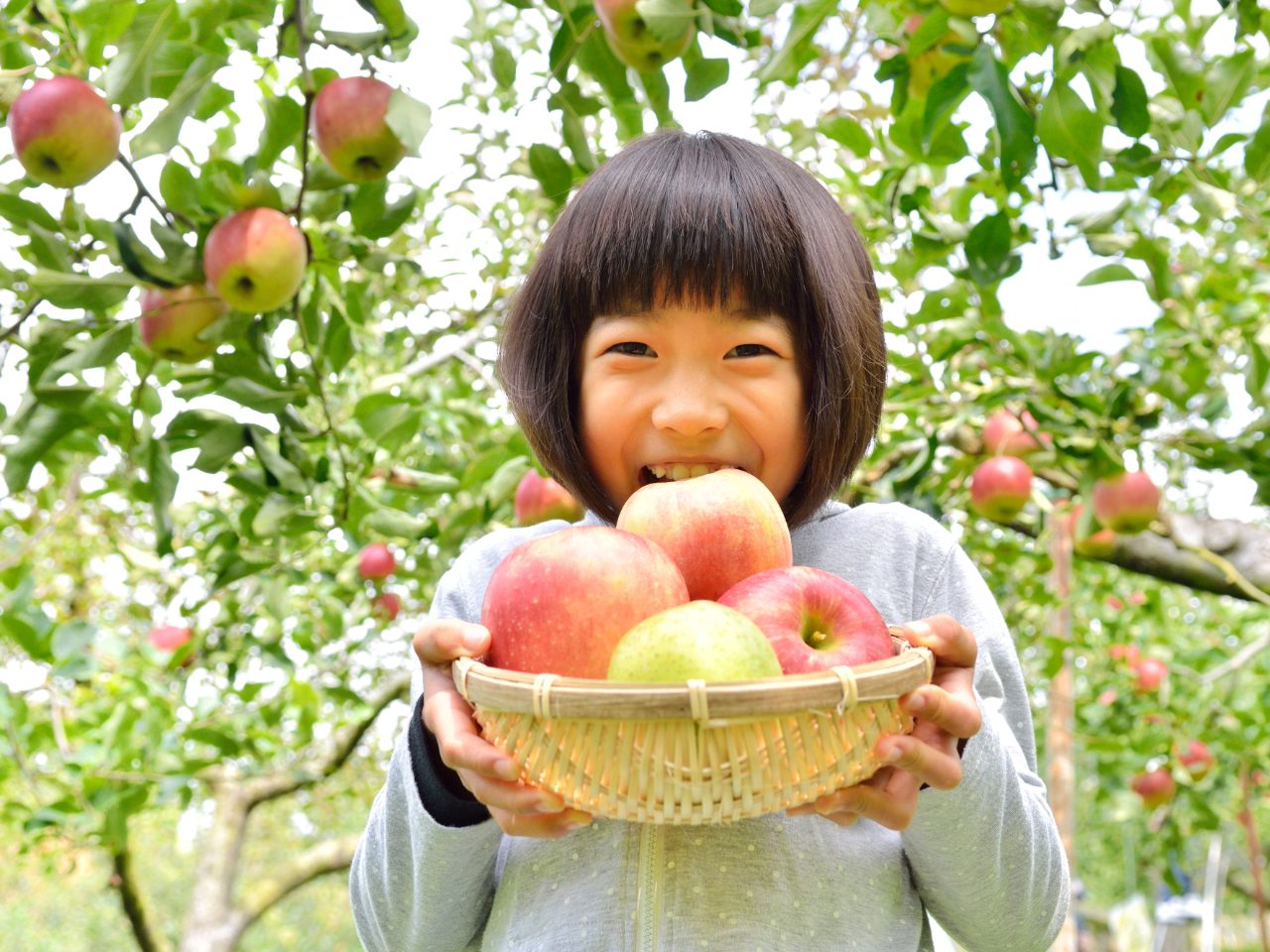 りんご家 SUKEGAWA（スケガワ） | 信州・小諸｜詩情あふれる高原の