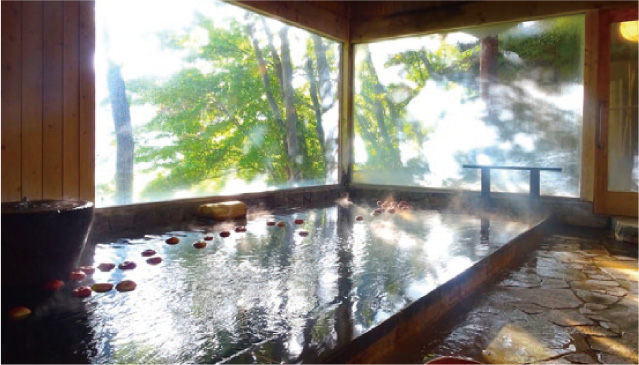 島崎藤村ゆかりの宿 中棚荘 はりこし亭