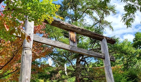 浅間山登山口 イメージ