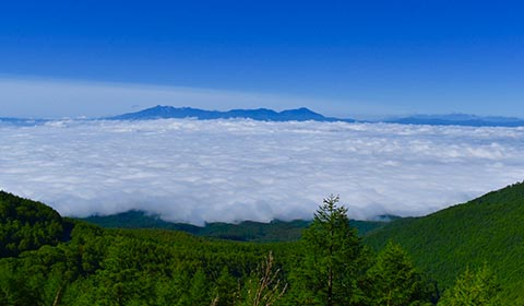 雲海ポイント イメージ