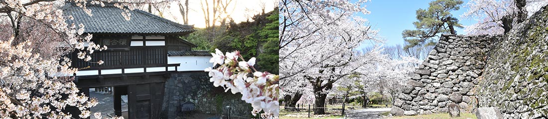 小諸城址・懐古園 イメージ画像